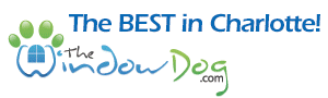 The Window Dog.com logo for “The Best in Charlotte”