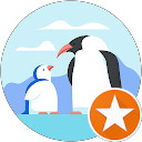 Randy D. profile picture