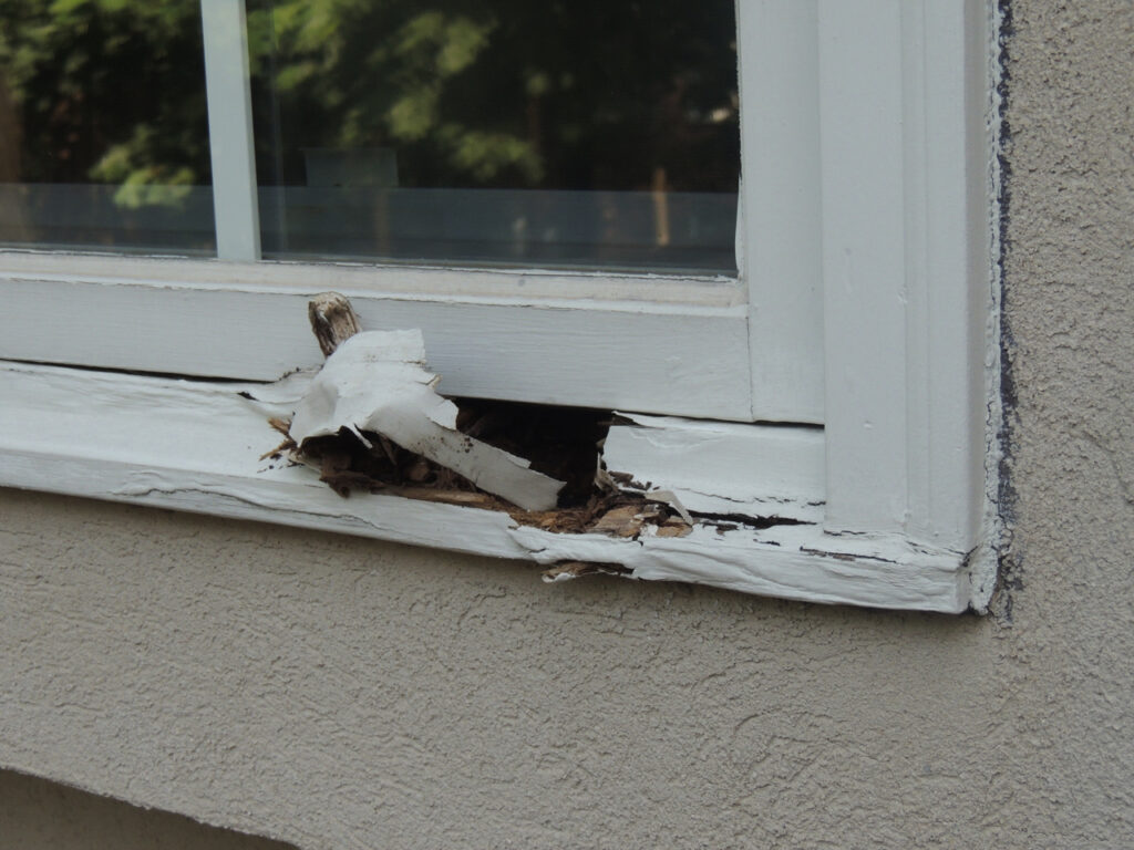 Window with lots of wood rot on the frame.