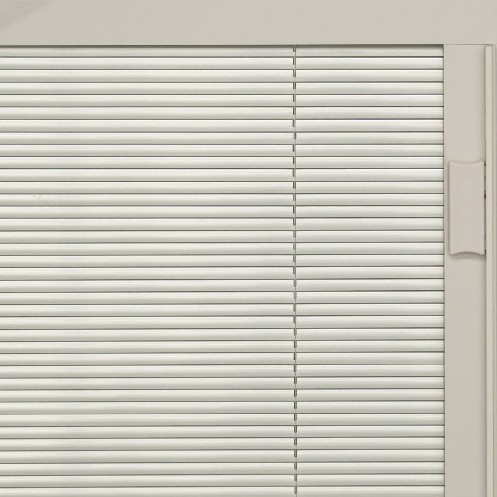 Champagne Interior Blinds