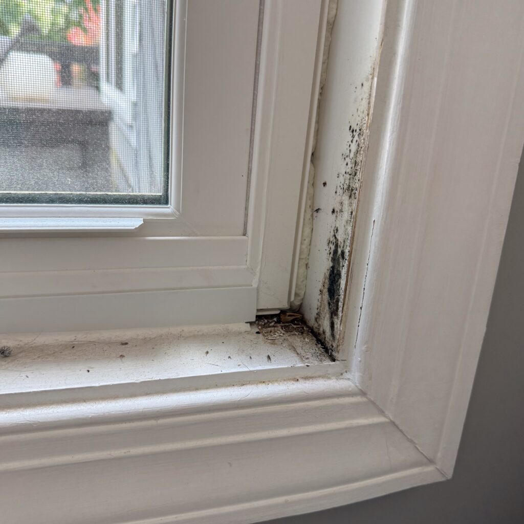 Wood rot and dirt buildup around the window frame.