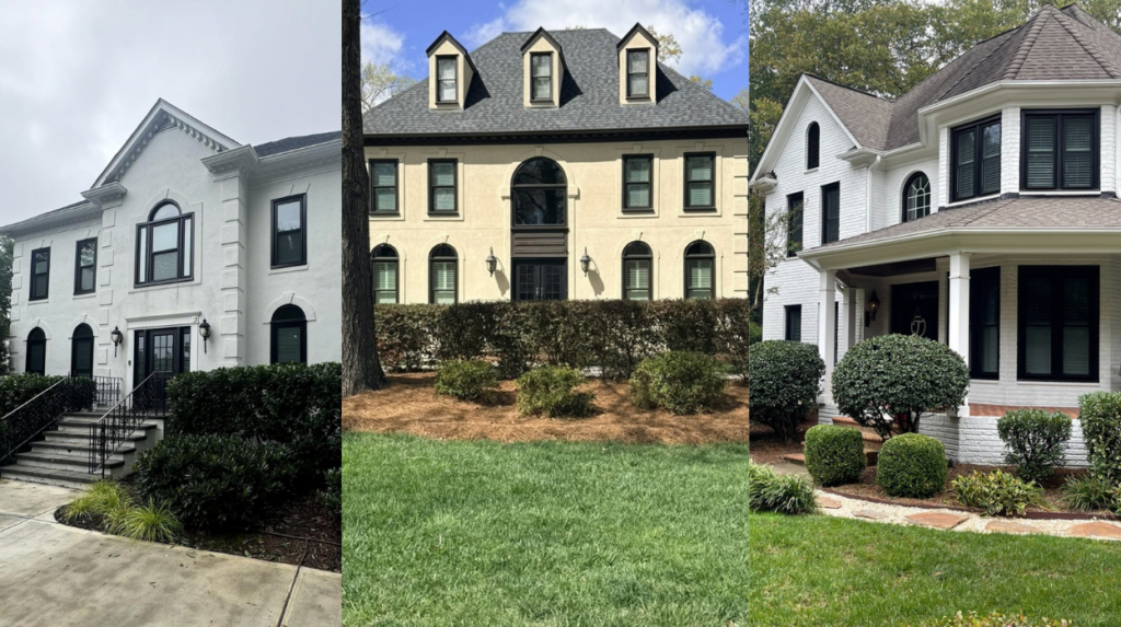 Homes with black windows.