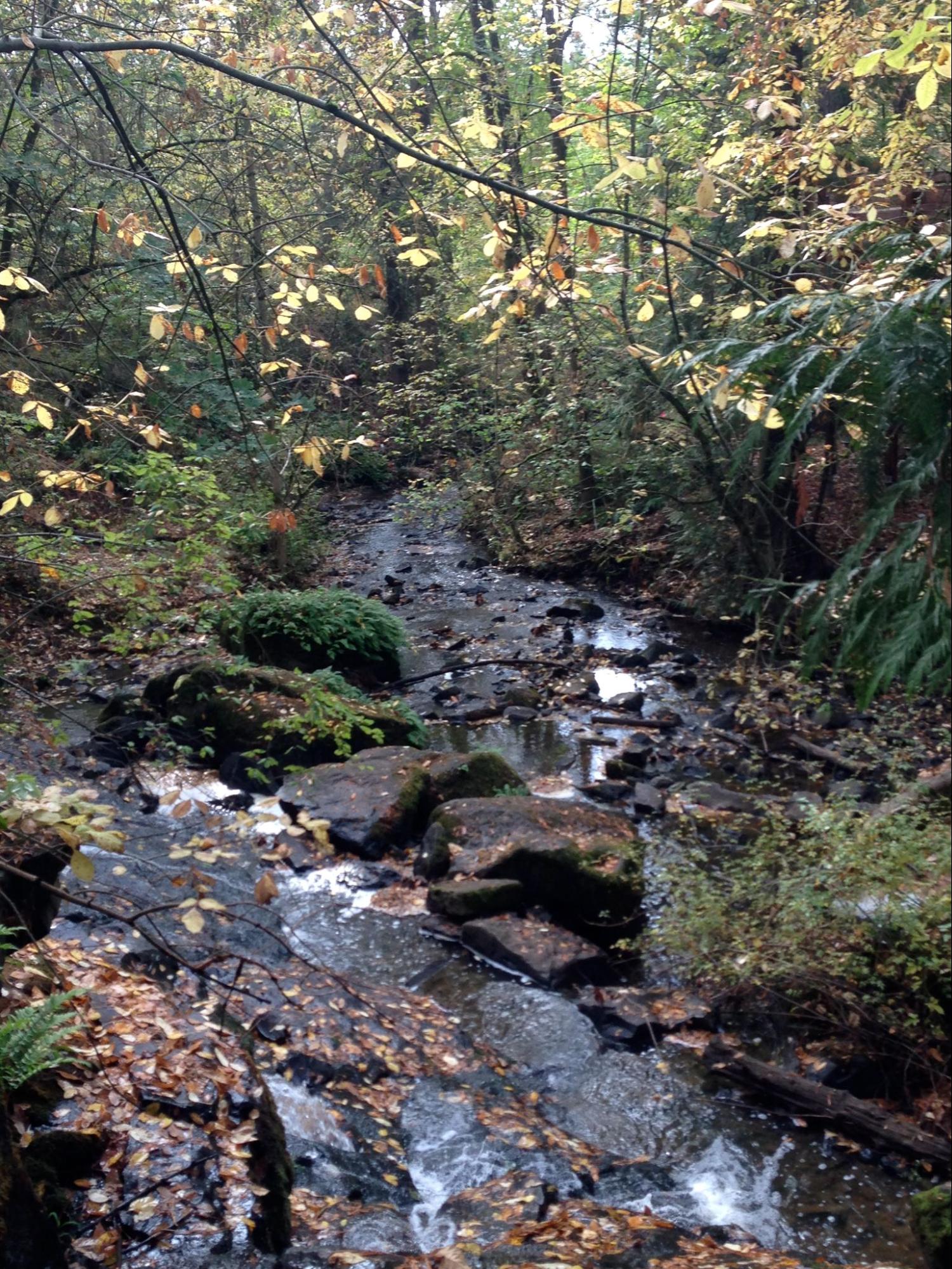 Cedar Mill, OR